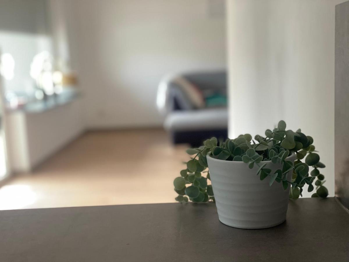Apartment Mit Parkblick Gratkorn Exteriör bild